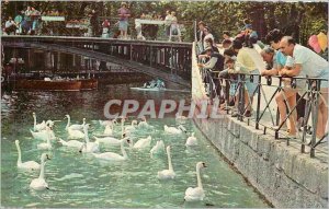 Postcard-Modern ANNECY The Swans Pont des Amours