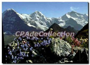 Postcard Modern Eiger Monch und Jungfrau