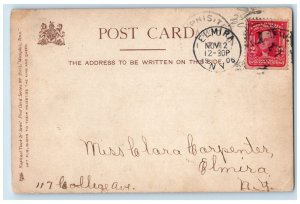 1906 Overton Park River Lake Bridge Trees Memphis Tennessee Tuck Sons Postcard