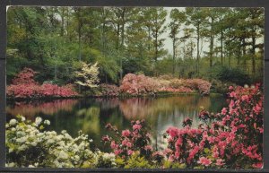 Alabama, Mobile - Bellingrath Gardens - [AL-044]