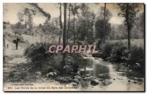 Old Postcard The edges of the Coise wood dolmens