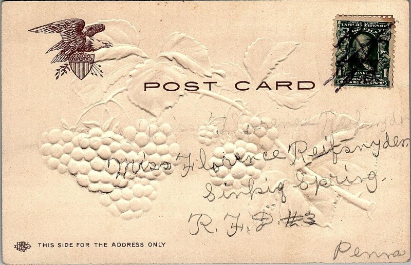 c1905 GRAPES GRAPE VINES SINKING SPRING HEAVILY EMBOSSED UNDIVIDED POSTCARD 29-8