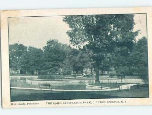 Divided-Back PARK SCENE Adirondacks - Clifton Springs New York NY H3951