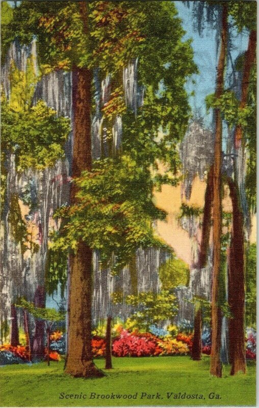 Scenic Brookwood Park Valdosta Georgia Vintage Postcard Unposted Vtg Flowers 