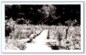 Tacoma Washington WA Postcard RPPC Photo Rose Test Gardens c1940's Vintage