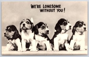 We're Lonesome With You! Five Beagle Dog Pet Photograph Art Work Postcard