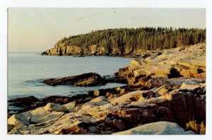 Postcard Otter Cliffs at Dawn Acadia National Park Maine Standard View Card 