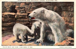 Polar Bear and Cubs Washington Park Zoological Garden Milwaukee Wisconsin