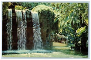 c1960 Schweitzer Falls Adventureland Disneyland Anaheim California CA Postcard