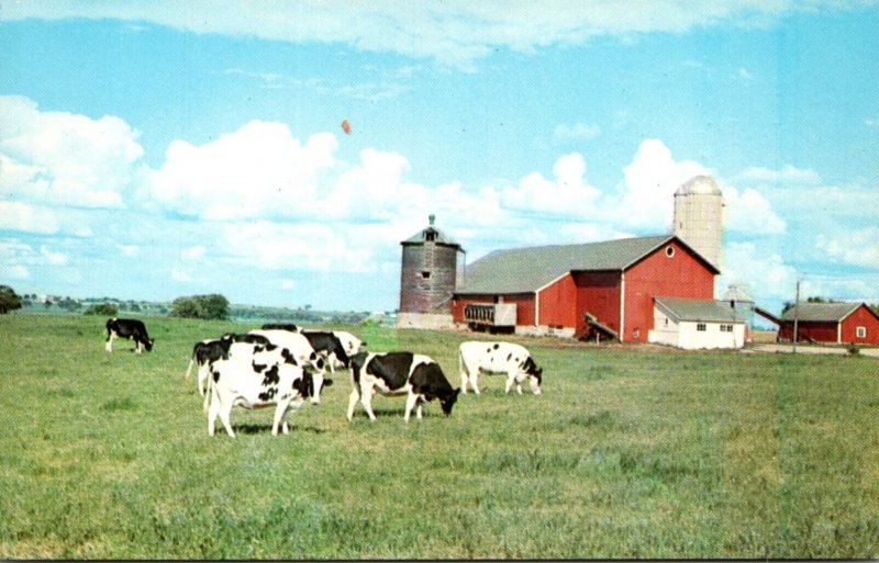 Ohio Greetings From Ohio River Country Cattle Scene