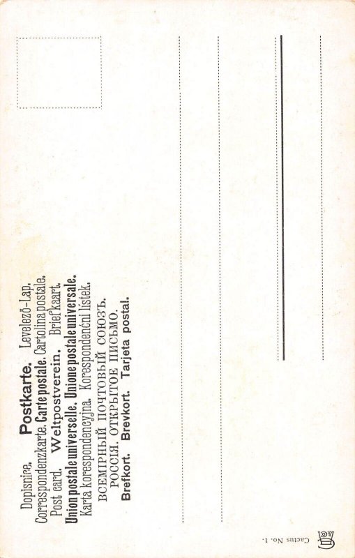 L338 Cactus Humanized flowers fantasy comic Wunderlich vintage postcard