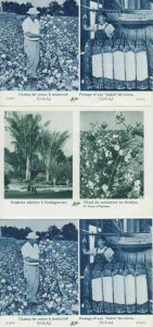 COTTON INDUSTRY USA CAMEROUN 18 Cartes Postales 1900-1940 (L3758)