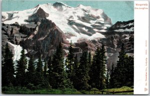 Wengernalp Die Jungfrau Switzerland Pine Trees On Foot Of Mountain Postcard
