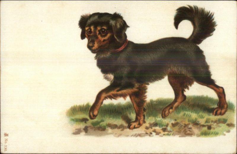 Collie? Sweet Puppy Dog #330 Fine Litho c1905 Postcard EXC COND