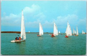 Sailing Regatta Barnegat Bay Ocean County New Jersey NJ Sailboats Postcard