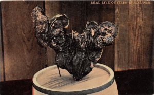 J34/ Biloxi Mississippi Postcard c1910 Real Live Oysters Food  12