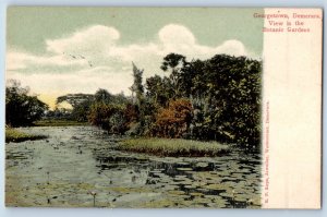 Guyana Postcard Demerara Botanic Garden Georgetown c1905 Unposted Antique