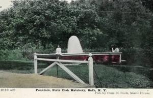 NY - Bath. Fountain, State Fish Hatchery