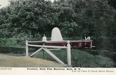 NY - Bath. Fountain, State Fish Hatchery