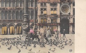 Pigeons Venezia Pigeons Unused 