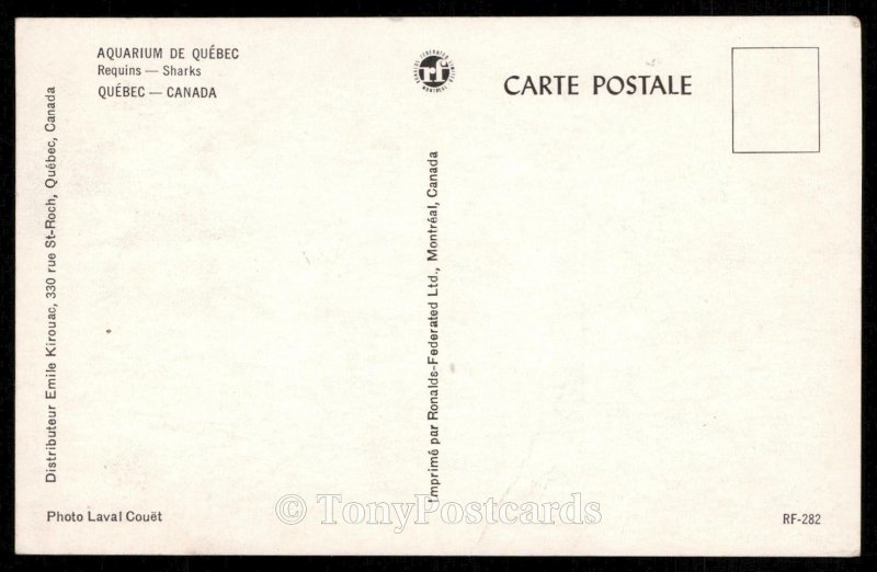 Aquarium de Quebec - Requins-Sharks