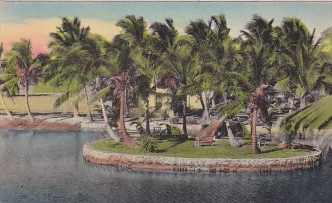 Florida waterway Fringed With Coconut Palm Trees