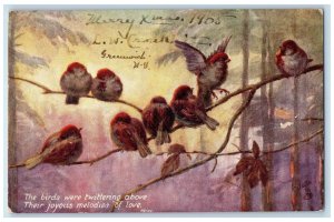 1905 Merry Christmas Birds Blossom Greenwich NY Oilette Tuck Art Postcard 