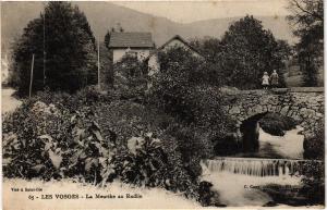 CPA Les Vosges - La Meurthe au Rudlin (200153)