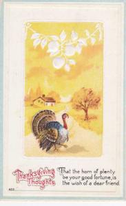 Thanksgiving Thoughts - Greetings - Turkey crossing the road - DB