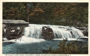 Vintage Postcard Falls Fern-Wood Kaaterskill Creek Palenville Catskill Mts. NY