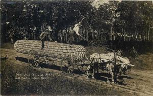 Horse-Drawn Carriage Exaggeration Real Photo 1908 Corn Fantasy & Surrealism