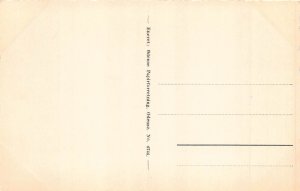 A709 Denmark Old Little Belt Bridge vintage postcard