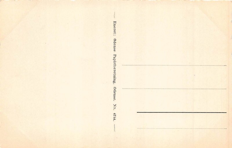 A709 Denmark Old Little Belt Bridge vintage postcard