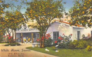 White Heron Groves Citrus Fruit Gift Store Bradenton Florida 1955 linen postcard