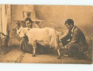 Divided-Back ANIMAL SCENE Great Postcard AA9539