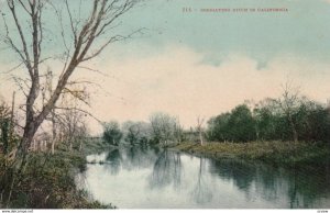 CALIFORNIA, 1900-10s; Irrigating Ditch in California