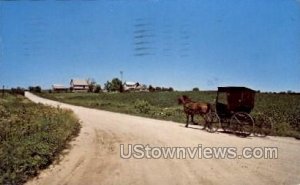 The Buggies and Horses of the Amish - Kalona, Iowa IA  