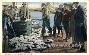 Unloading Fish - Gloucester, Massachusetts MA Postcard