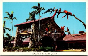 Vtg Miami Florida FL Entrance to Parrot Jungle 1950s Chrome View Postcard