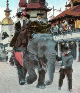 Luna Park Coney Island Elephant Ride Amusement Park New York 1910 Postcard MM