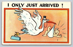 Stork Delivering Baby I Only Just Arrived Vintage Postcard 1100