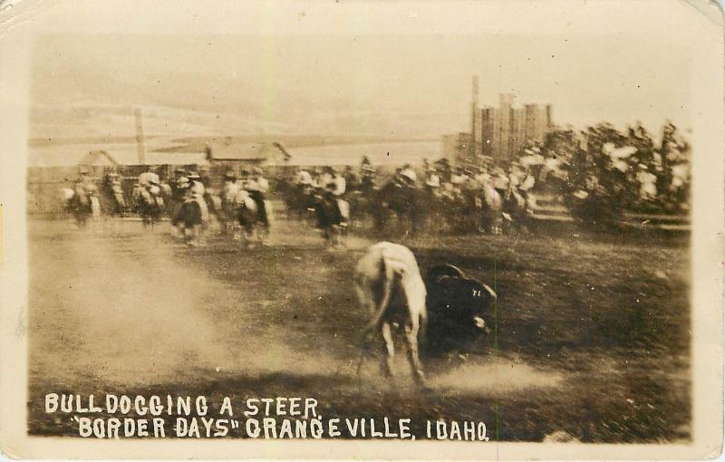 RPPC Postcard Bulldogging a Steer Border Days Grangeville Idaho Rodeo