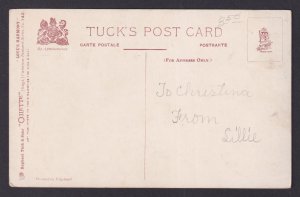 UNITED STATES, Postcard, Cupid with Mandolin Lute