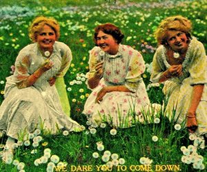 Three Women In White Field of Dandilions Dare You to Come Down 1914 DB Postcard