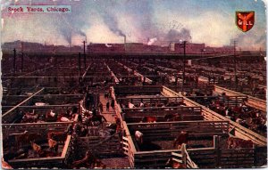 USA Stock Yards Chicago Illinois Vintage  Postcard 09.69