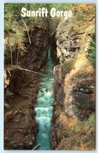 GLACIER NATIONAL PARK, Montana MT ~ SUNRIFT GORGE Baring Creek c1970s Postcard