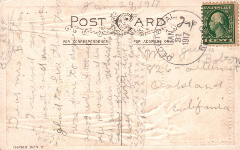 Many Happy Returns Flowers