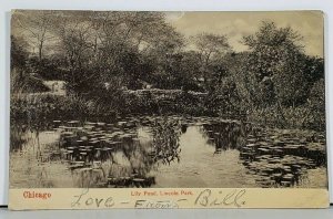 Chicago Lily Pond, Lincoln Park 1907 udb Postcard J15