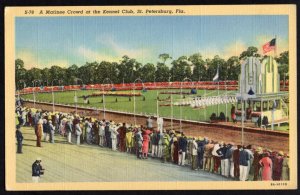 Florida ST. PETERSBURG A Matinee Crowd at the Kennel Club Greyhound Track LINEN