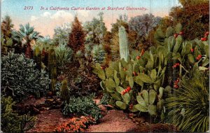 California Stanford University Cactus Garden